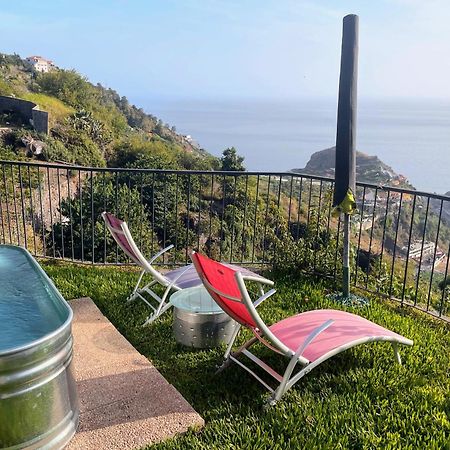 Quinta Terezinha Villa Ribeira Brava Ngoại thất bức ảnh