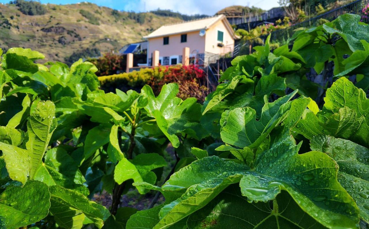 Quinta Terezinha Villa Ribeira Brava Ngoại thất bức ảnh